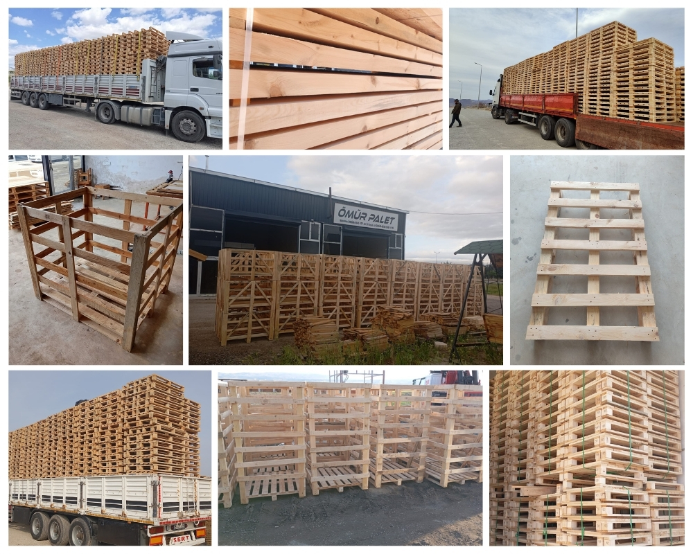 Harssens Houten Kisten, Europallets Groothandel Kopen
